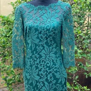Tadashi Shoji Green Lace Embroidery Dress Size 6, Elegance, Details, Formal